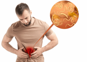 Worlex opiniones, foro, comentarios