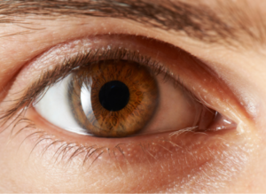 Ocuxil opiniones, foro, comentarios